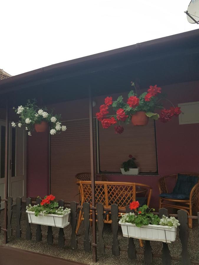 Apartmani, Sobe Ziza Bezdan Exterior photo